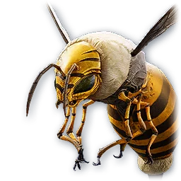 Aberrant Bee