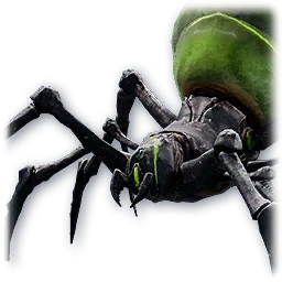 Baby Odyle Spider