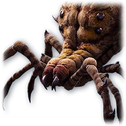 Withered Branch Spider